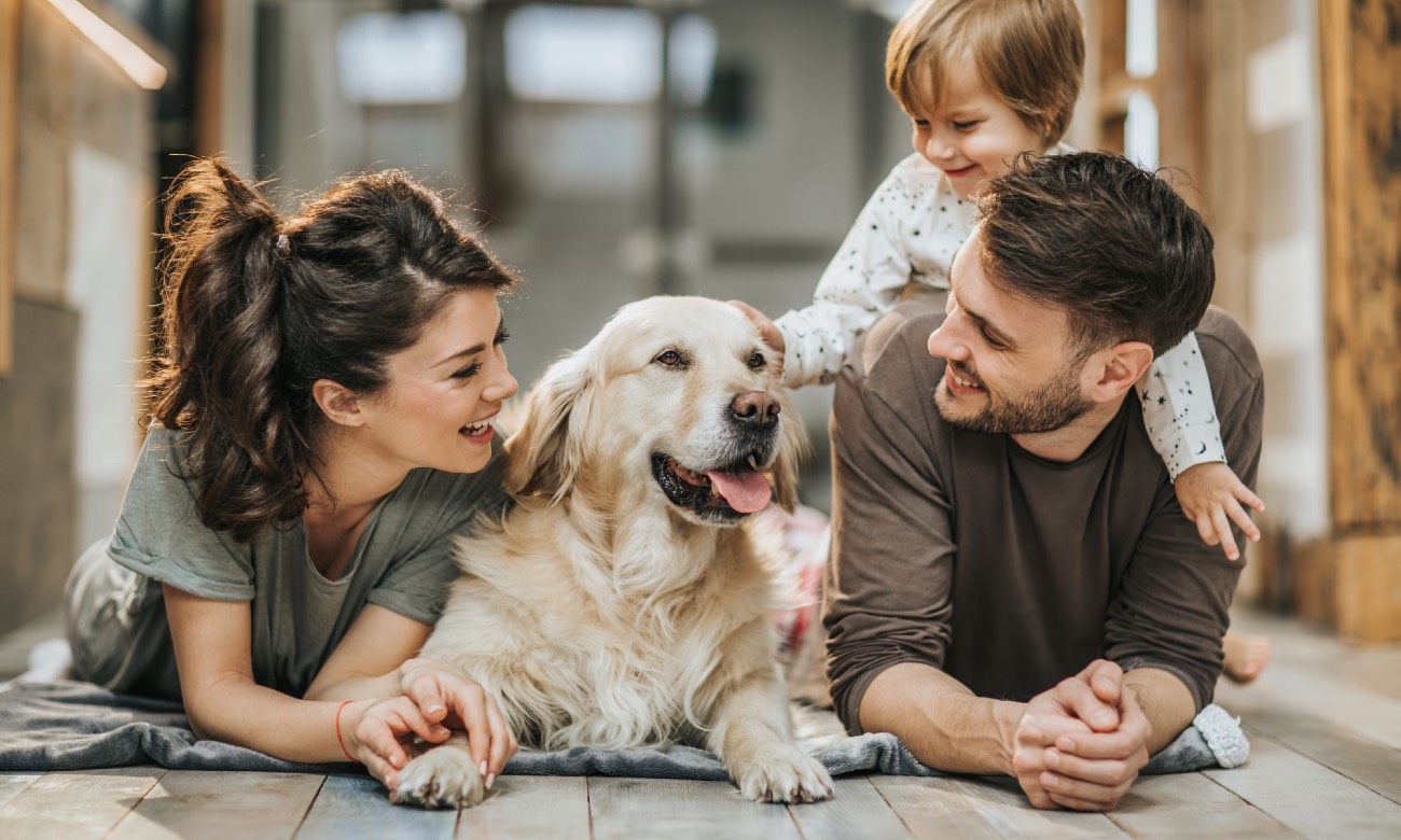familienhund versichern die richtige hundeversicherung für den Familienhund