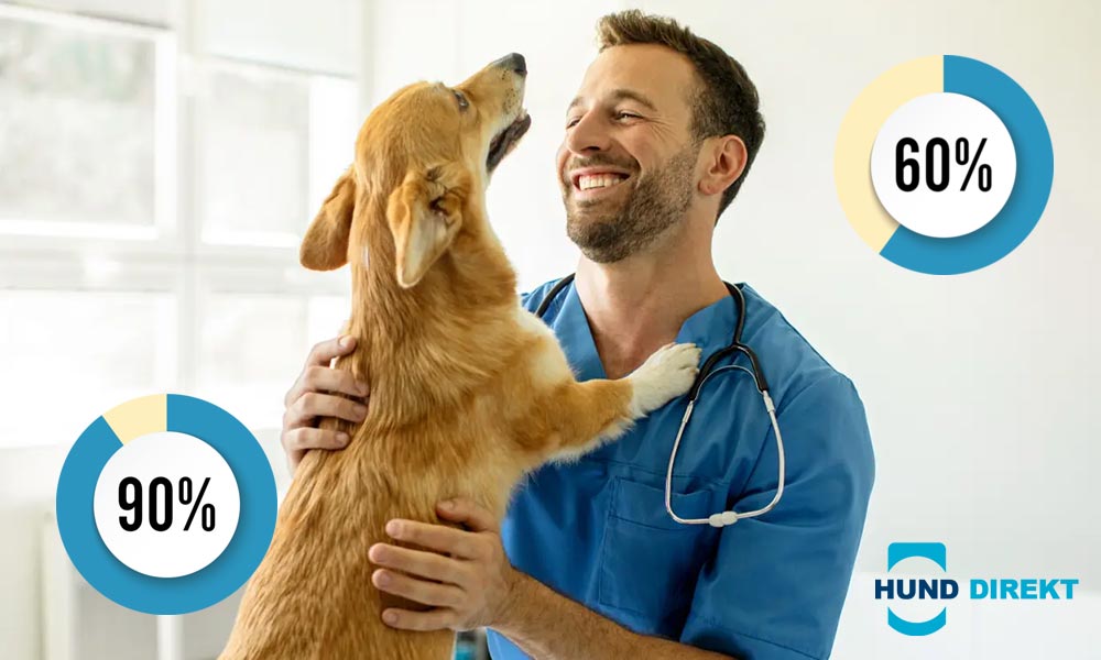 Erstattungssatz bei der Hundeversicherung