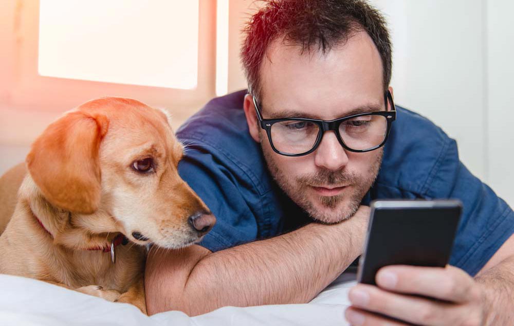 hunde-op Hunde OP Versicherung online vergleichen