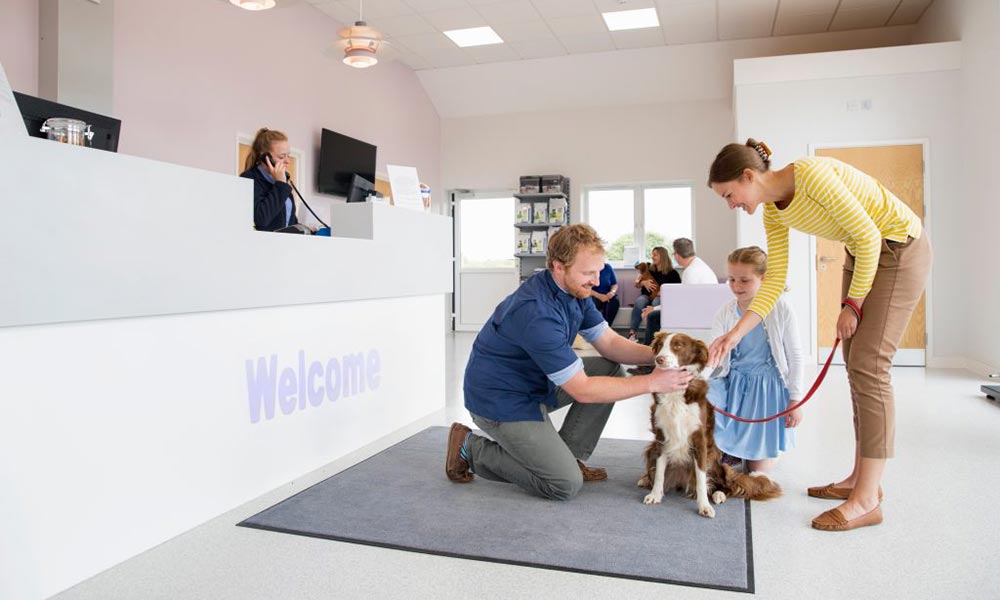 direkte Abrechnung beim Tierarzt