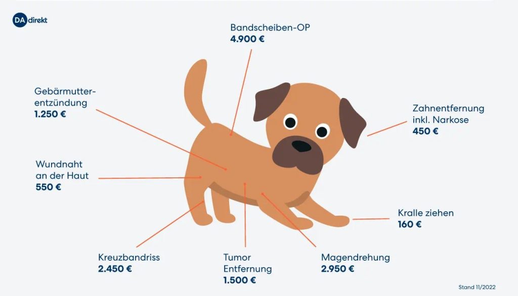 kosten beim Tierarzt