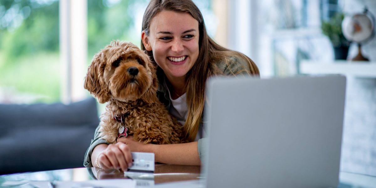 hundekrankenversicherung vergleichen