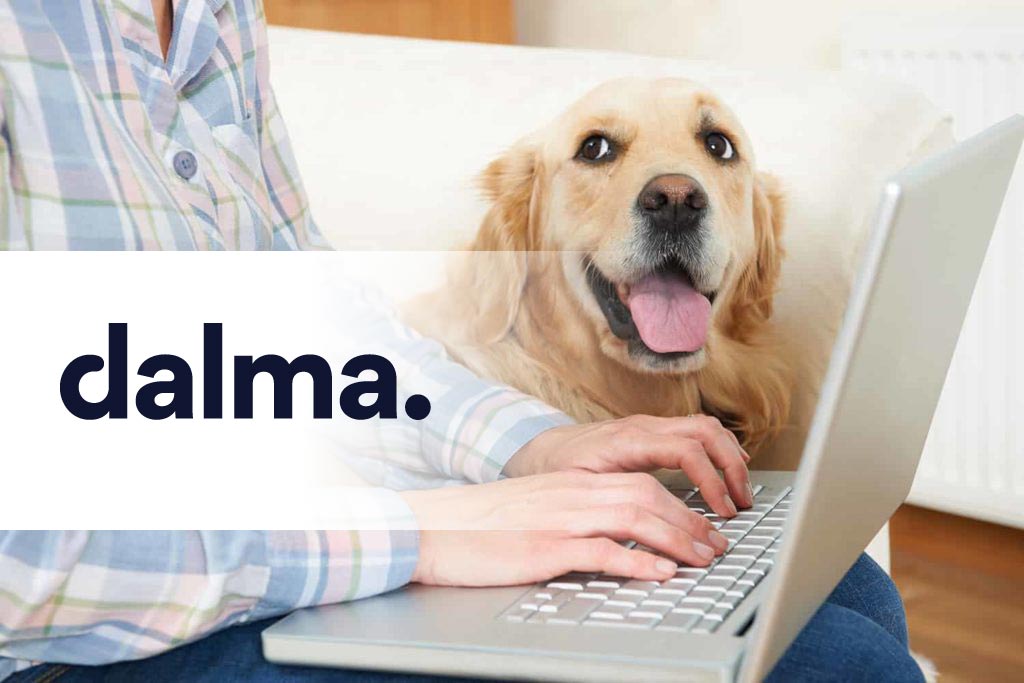 dalma dalma hundeversicherung