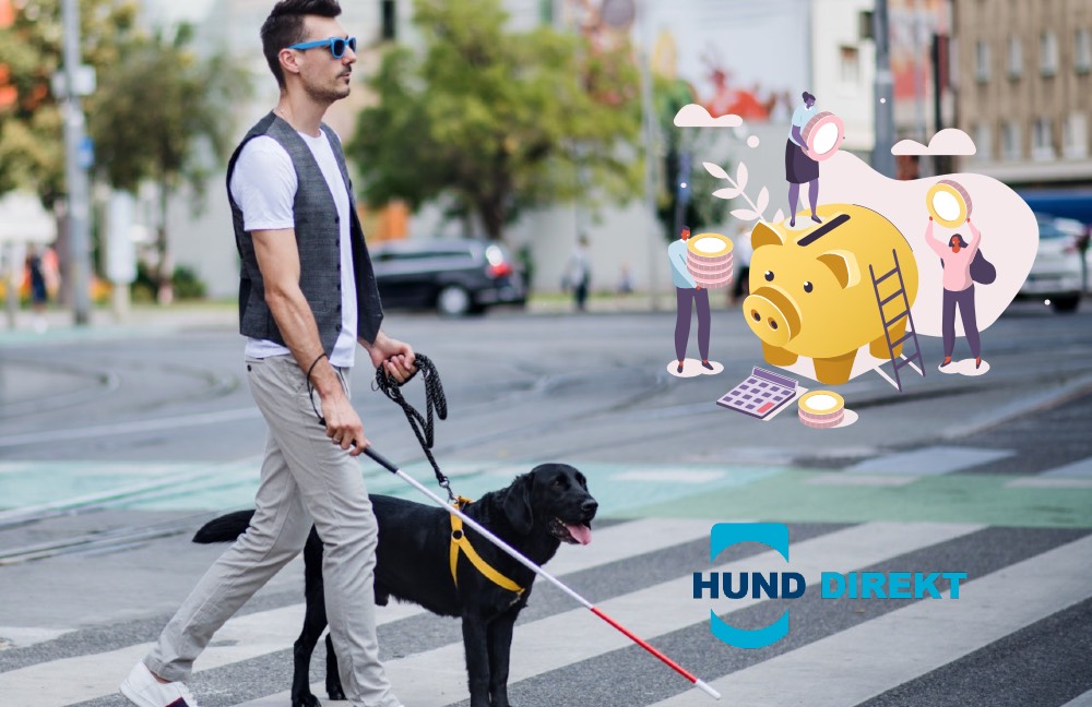 Hundekrankenversicherung steuerlich absetzbar