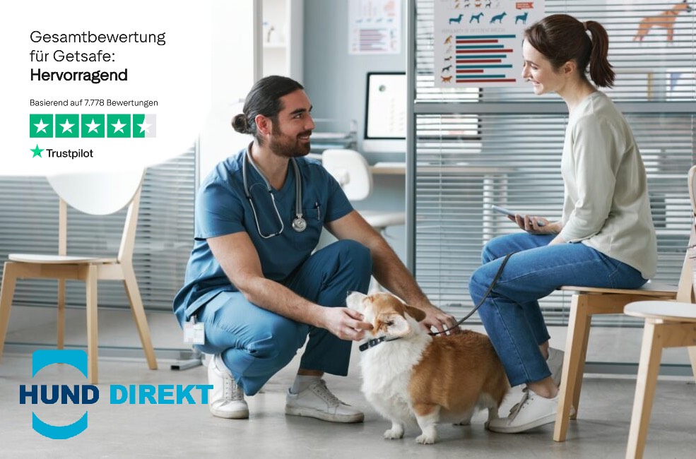 getsafe hundeversicherung per app