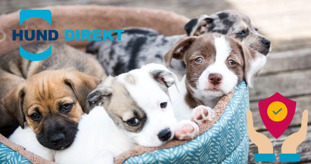 hundeversicherung für Welpen