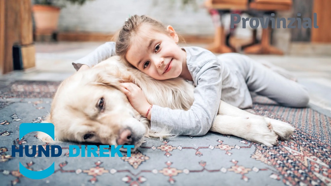 hundeversicherung der provinzial